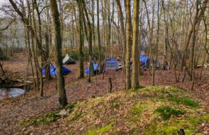 Een overnachting in het bos is een heel avontuur. Beleeft het samen met je kind.