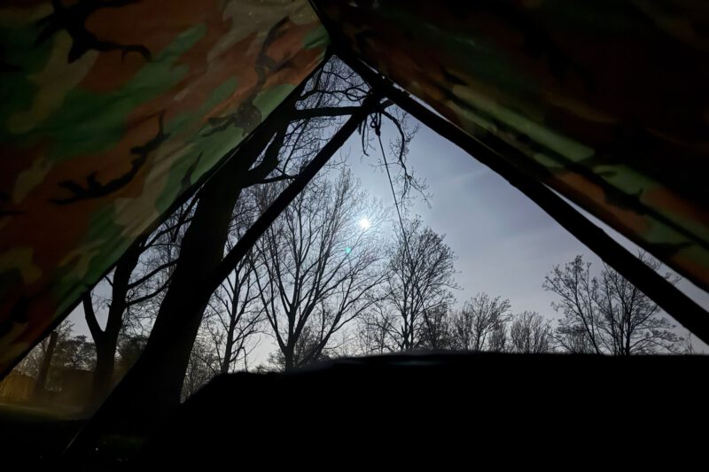 Een nacht in het bos