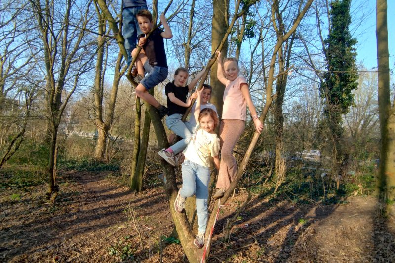 Zomer vol avontuur: naar buiten, ontdekken en beleven!