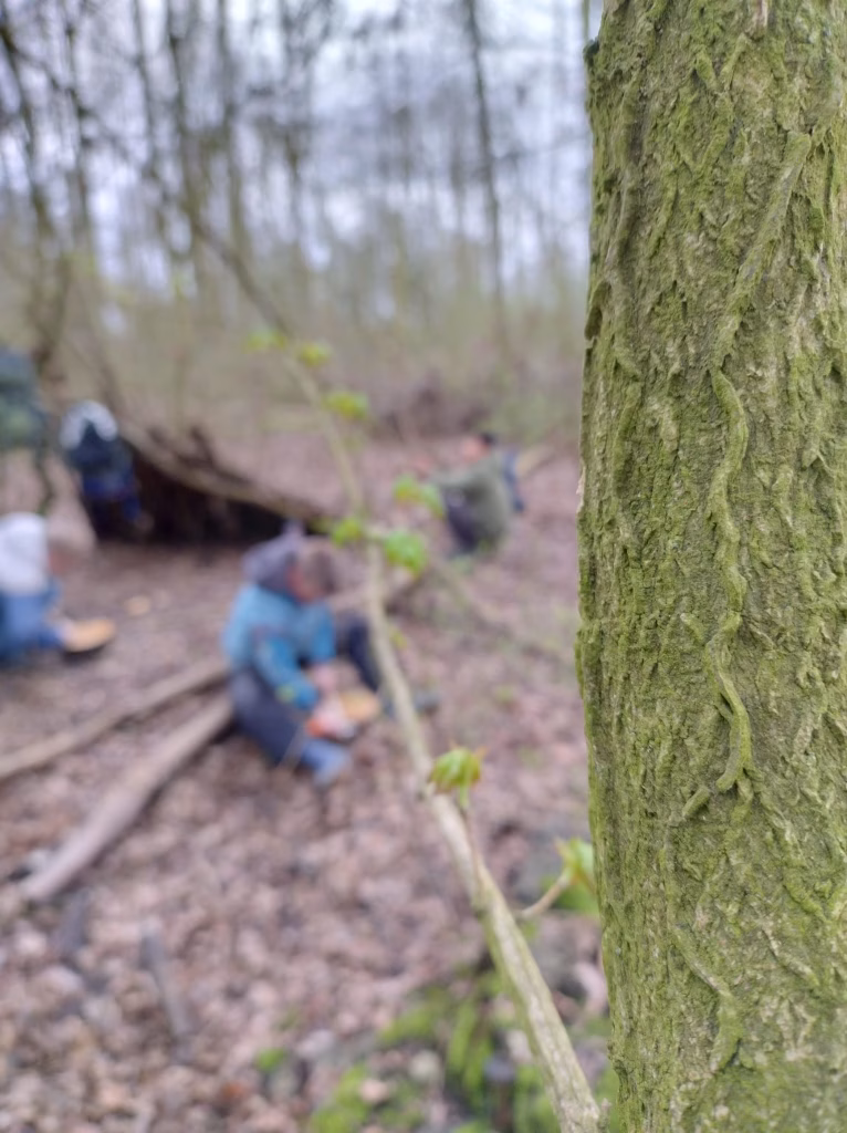 Een mooie manier voor kinderen om in het bos tot rust te komen.