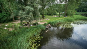 Speelbos de Elzen in Dordrecht is een mooie, rustige omgeving voor kinderen om te spelen in de natuur.