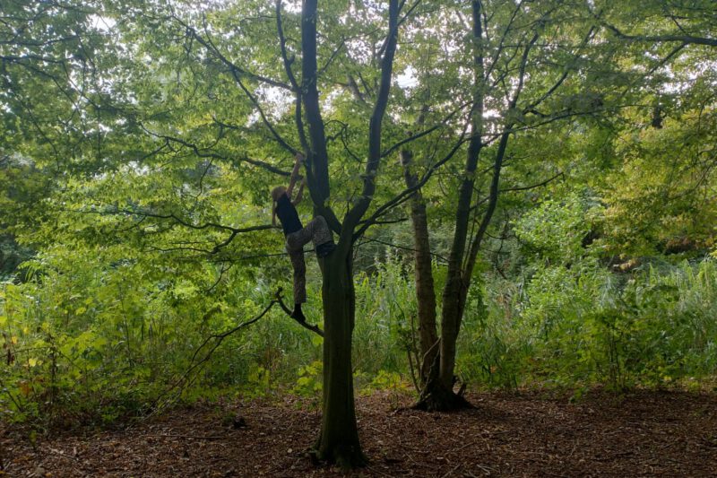 Waarom klimt mijn kind in bomen?